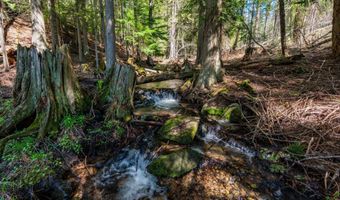 1142 Salee Creek Rd, Bayview, ID 83803