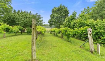 205 Oak Hill Ln, Arab, AL 35016