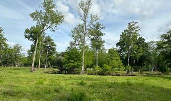 Tbd CORKWOOD LANE, Astatula, FL 34705
