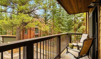 650 S Monarch St 9, Aspen, CO 81611