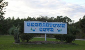 137 GEORGETOWN DENVER Rd, Georgetown, FL 32139