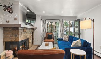 100 E Dean St 2D, Aspen, CO 81611