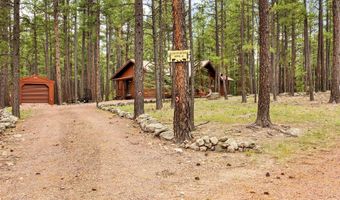 4 County Road 2089, Alpine, AZ 85920