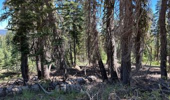 39 Liberty Rd, Arnold, CA 95223