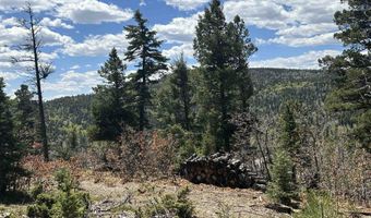 Lots 16 Lot17 Palo Flechado Ridge Road, Angel Fire, NM 87710