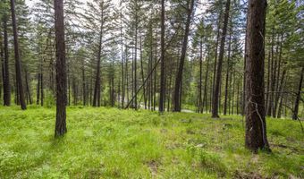 604 Ranch Rd, Bigfork, MT 59911