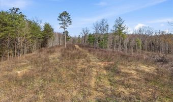 Boat Gum Lane, Bean Station, TN 37708