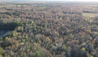 V/L Wildwood Road lot 1, Alger, MI 48610