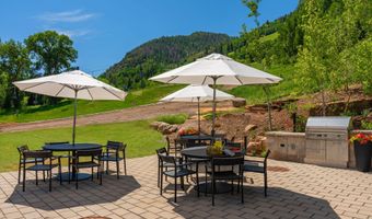 809 S Aspen St 8, Aspen, CO 81611