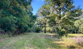 8645 Moores Mill Creek Rd, Baker, FL 32531