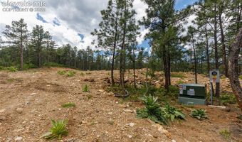 8719 Ponderosa Pine Dr, Beulah, CO 81023