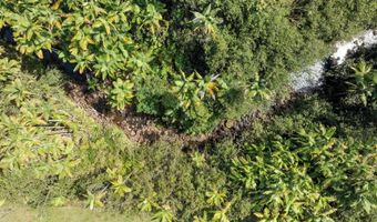 29-2584 KAIWIKI HOMESTEAD Rd, Hakalau, HI 96710