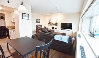 555 E William St 17J, Ann Arbor, MI 48104