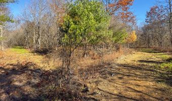 0 W Captina Highway Rd, Alledonia, OH 43902