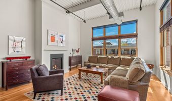 231 Robinson St #R-340, Basalt, CO 81621