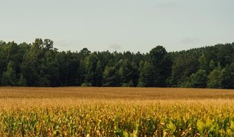 1037 Cr 300, Big Creek, MS 38914