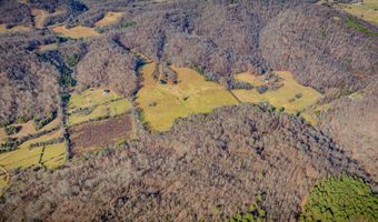 1520 Brittontown Rd, Afton, TN 37616