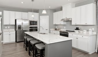 30500 Indigo Way Plan: Savannah with Basement, Georgetown, DE 19947