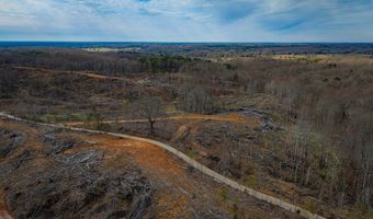 0 County Road 217 Lot 2, Blue Springs, MS 38828