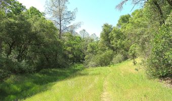 3528 Appaloosa Way, Angels Camp, CA 95222