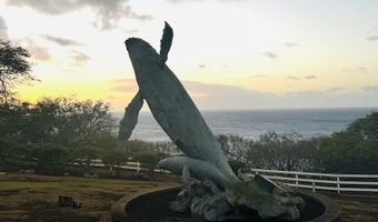 56-2929 PUAKEA BAY Dr, Hawi, HI 96719