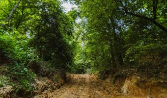 235 Woodrow Martin Rd, Brandon, MS 39042