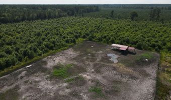 143-217 War Tom Rd, Aulander, NC 27805