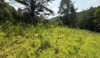 Hall Hollow Road, Austinville, VA 24312