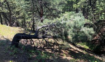 5550 Sunshine Canyon Dr, Boulder, CO 80302