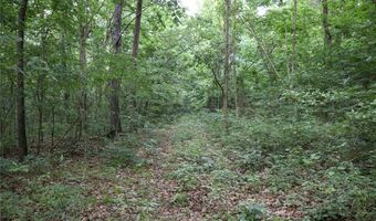 Whiskey Creek Lane, Batesville, AR 72501