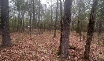 UNIT # 263B KIAMICHI WILDERNESS RD Unit # 63 63, Antlers, OK 74523