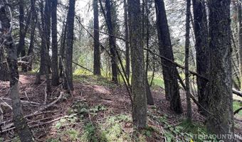 Tbd Hilltop Rd, Cascade, ID 83611