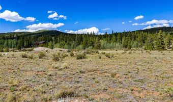 GLISSADE Trail lot 61, Alma, CO 80420