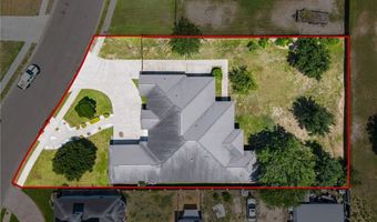 1431 Vida Grande St, Alamo, TX 78516