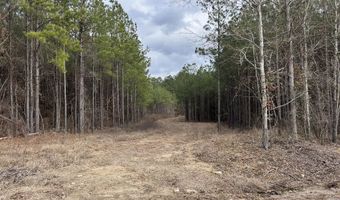 St. Johns Road, Braxton, MS 39044