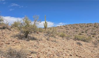 10 Acres 121-02-020, Yucca, AZ 86438