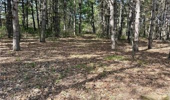 28110 112th St NW, Baldwin Twp., MN 55398