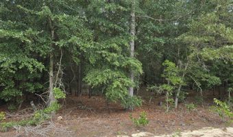 317 R J Johnson Rd, Allendale, SC 29810