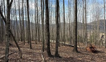 1029 Chippawa Dr 67, Arden, NC 28704