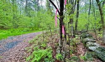 0 Off Langdon Rd, Charlestown, NH 03603