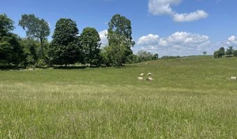Tract # 13 Hunter Ray Way, Albany, KY 42602