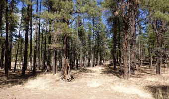 8 B County Road 2267 Escudilla Rd, Alpine, AZ 85920