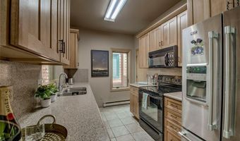 29 Washington Lode D, Breckenridge, CO 80424