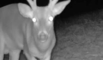 1037 Cr 300, Big Creek, MS 38914
