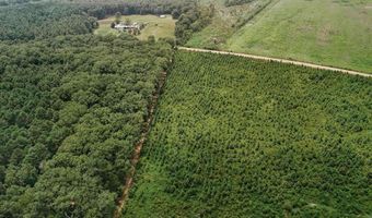 Copeland Ridge Road, Arkadelphia, AR 71923