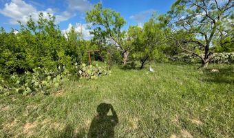 631 Avenue H, Anson, TX 79501