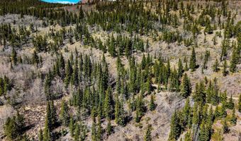 270 Co Rd 667 Lot 0, Alma, CO 80440
