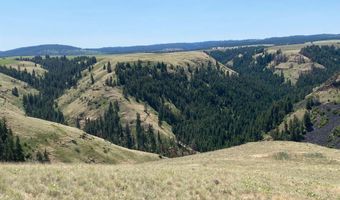 NNA Cloverland Road, Asotin, WA 99402
