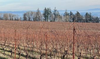 SE EOLA HILLS RD, Amity, OR 97101