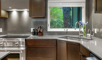 100 N Eighth St 3, Aspen, CO 81611